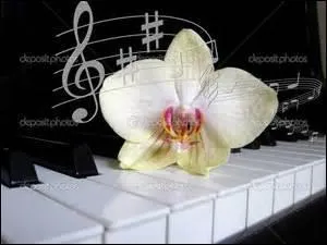 Laquelle de ces symphonies correspond à la symphonie pastorale de Beethoven ?