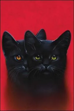 Qui sont ces chats ?