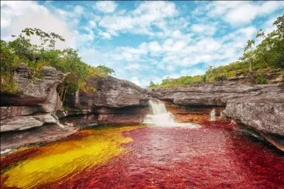 Le Caño Cristales est une rivière, elle est surnommée "rivière aux cinq couleurs". Dans quel pays se trouve-t-elle ?