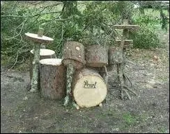 Lequel de ces instruments de musique n'appartient pas à la catégorie des "bois" ?