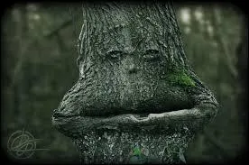 Si vous vous payez une bonne "gueule de bois", c'est incontestablement suite à :