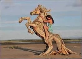 Dans la mythologie grecque, un conflit a connu un véritable renversement de situation, grâce à un célèbre cheval en bois. Il s'agit de :