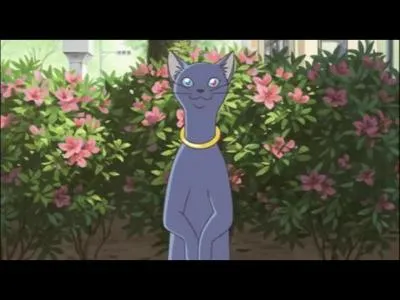 Qui Haru sauve-t-elle ?