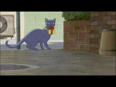 Pour qui est ce cadeau que porte ce chat ?