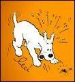 Comment se nomme le chien de Tintin ?