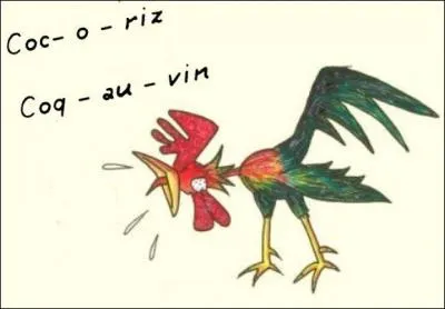 On conna&icirc;t notre "cocorico ! ", le "cock-a-doodle-do ! " anglais ainsi que son cousin, le germain "kikeriki ! " . Mais d'o&ugrave; sortent le "ake-e-ake-ake ! " et le "gaggalagaggalag&oacute; ! " ?