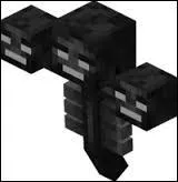 Comment invoque-t-on un Wither ?