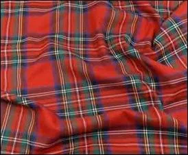 Quelle est la forme de la "phrase" qui suit ?
 "L'habit des Quizz.biziens ne serait-il pas écossais ?"