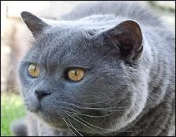 Notre amie 19750 s'est toujours [passionner] pour régler leur compte aux participes passés !