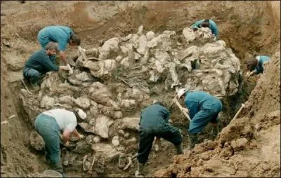 Quel est le pays où s'est produit le génocide de Srebrenica en 1995 ?