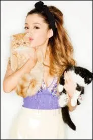 Ari a une passion réelle pour quelque chose, quoi ?