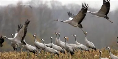 Une nouvelle catégorie de réfugiés va voir le jour, celle des réfugiés climatiques.