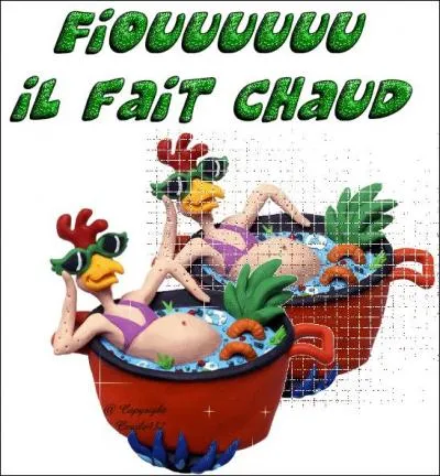 Par son ampleur et sa rapidité, le réchauffement de notre climat peut être qualifié d'extraordinaire dans l'histoire de notre planète.