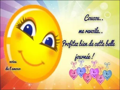 L'effet de serre n'est pas un phénomène naturel.