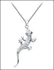 Y a une erreur ! Quel est cet animal ?