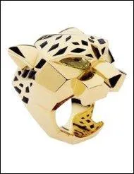 Répondez aussi vite que l'animal le plus rapide (terrestre) du monde !