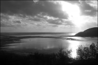 Qui chantait 'La mer' ?