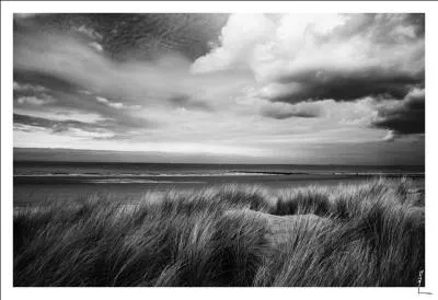 Qui chantait ces paroles : 'Avec la mer du Nord, comme dernier terrain vague. ' ?