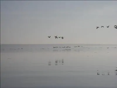 Où se trouve La mer de la Tranquillité ?