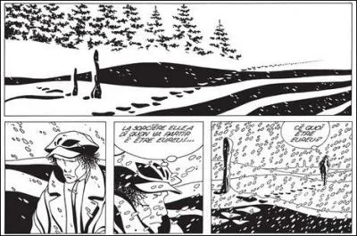 Le scénariste et dessinateur belge DIdier Comès (1942-2013) nous apporte, en 1979, un autre style, très onirique malgré le noir, avec un personnage handicapé mental. Comment se nomme-t-il ?