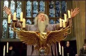 Albus Dumbledore est :