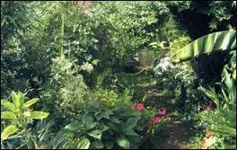 Pomone (ou Pomona) préférait les jardins...