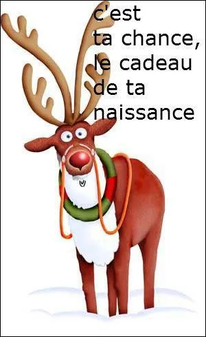 Tu ne seras jamais la reine du bal ! Quel chanteur l'a dit ?