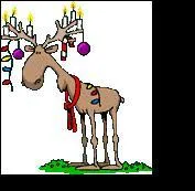 J'aide le Père Noël et j'apporte la lumière, quel est mon nom ?