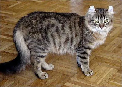 Souffrance morale, tristesse :