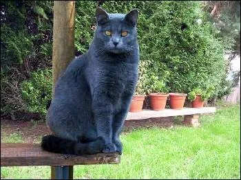 Fromage au lait de vache, fabriqué en Champagne :