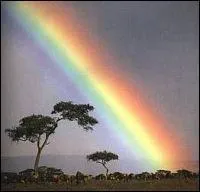 Isaac Newton découpa arbitrairement l'arc-en-ciel en sept couleurs : rouge, orange, jaune, vert, bleu, violet et :