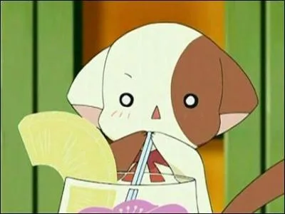 Qui est sur la photo ?