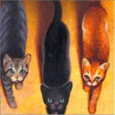 Qui sont ses frères/surs ?