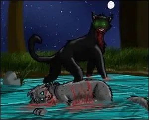 Pourquoi l'a-t-elle tué(e) ?