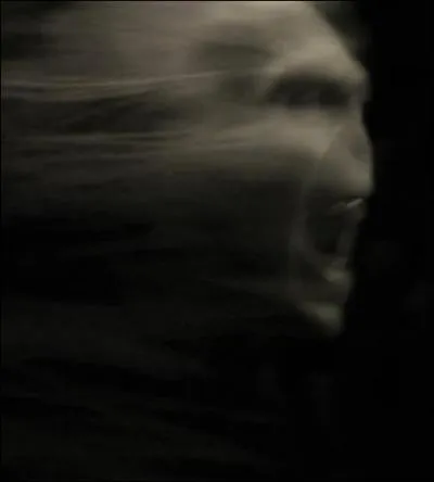 « Fou de haine, je courus après la meurtrière. Dans l'atrium, Voldemort apparut. Ce n'était pas comme dans le cimetière ; cette fois, il avait l'air blasé et voulait en finir au plus vite. Il m'a simplement dit :