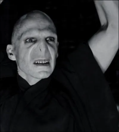 « Ce duel ne vit pas de vainqueur. Voldemort abaissa sa baguette et pénétra en mon corps. Dumbledore, pour le tuer, aurait été obligé de me tuer moi