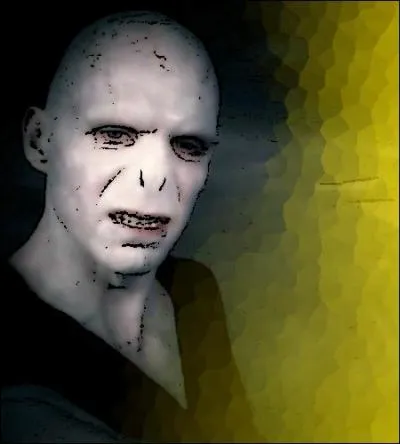 - Au lieu de se battre contre un ennemi invisible, Fudge jette le discrédit sur la poignée de personnes qui croit à son retour ! 

- Il vous a jeté en prison, Dumbledore et toi ?

- Non. Fudge a fait passer Dumbledore pour un vieillard dépassé, et moi