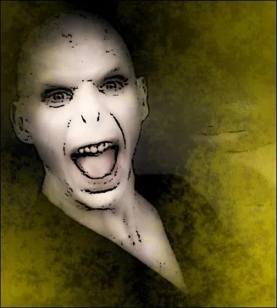 - Je croyais qu'il n'y avait qu'un méchant, Voldemort

- « Dans le monde il n'y a pas d'un côté le bien et le mal, il y a une part de lumière et d'ombre en chacun de nous. Ce qui compte c'est celle que l'on choisit de montrer dans nos actes, ça c'est ce que l'on est vraiment. »

- Qui a dit ça ?