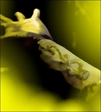 - Hagrid m'a raconté de sacrés histoires à ce sujet. Mais c'était juste un début : Voldemort a aussi récupéré tous les Mangemorts qui étaient en prison. Tu sais comment il a fait ?