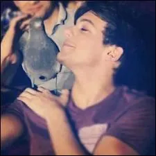 Qui d'entre eux a fait aboyer un pigeon lors d'une vidéo diary ?