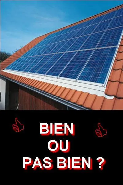 Regardez l'image et donnez-moi la bonne réponse ! Bien ou pas bien ?