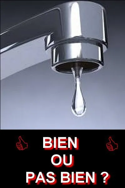 Regardez l'image et donnez-moi la bonne réponse ! Bien ou pas bien ?