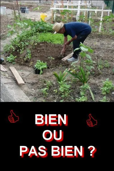 Regardez l'image et donnez-moi la bonne réponse ! Bien ou pas bien ?