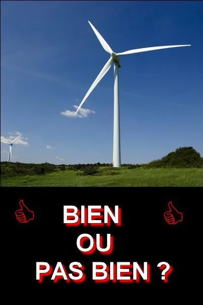 Regardez l'image et donnez-moi la bonne réponse ! Bien ou pas bien ?