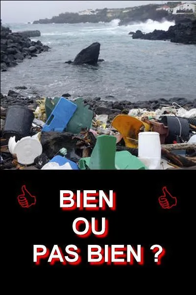 Regardez l'image et donnez-moi la bonne réponse ! Bien ou pas bien ?