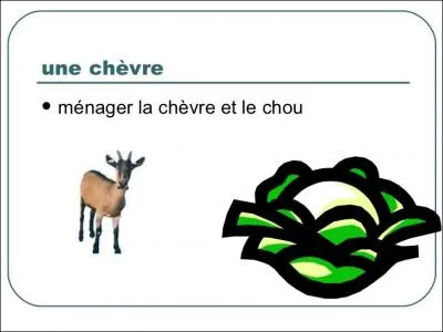 Que signifie l'expression « Ménager la chèvre et le chou » ?