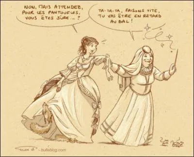 Dans le conte Cendrillon, on nous parle de chaussure de vair, de quoi parle-t-on exactement ?