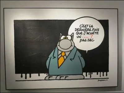 Agrandissez l'image et complétez le discours du Chat :