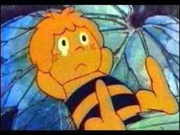 À quel dessin animé appartient cette image ?