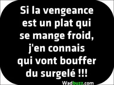 Quel pays répond également au nom de : 'Plat pays' ?